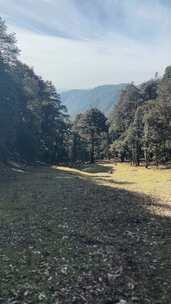 一片长满树木的草地，背景是一座山