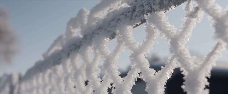 雾凇寒流小雪冬季景观被雪覆盖冷空气降温