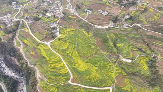 湖北恩施5A景区大峡谷绝壁花海航拍