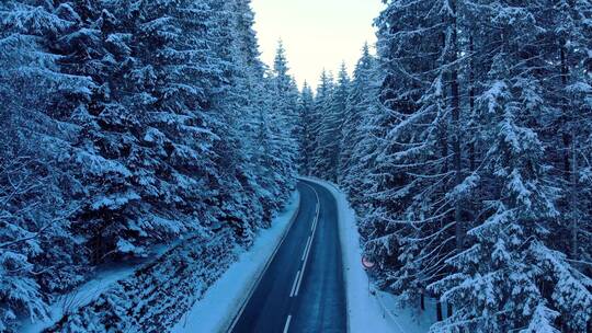 冬季山林中的道路