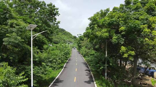 乡村沥青小道航拍