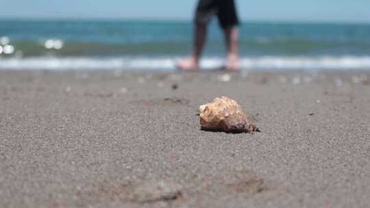 大海海滩海边海螺海滩沙滩