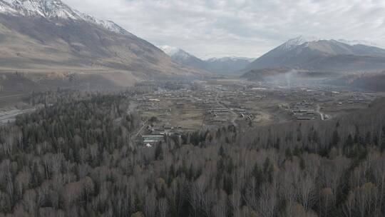 新疆 航拍 禾木 小屋 雪山 树林 高原 炊烟