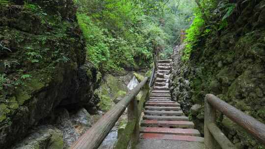 成都青城山后山峡谷森林步道溪流自然景观