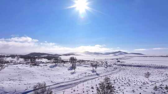 阳光照耀下的雪后开阔原野风景