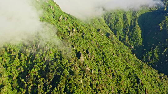 鸟瞰云雾流云下绿色的山脉