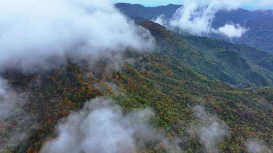 4K航拍重庆大巴山公路