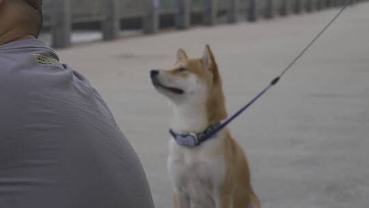 海边城市岛屿礁石海浪航拍