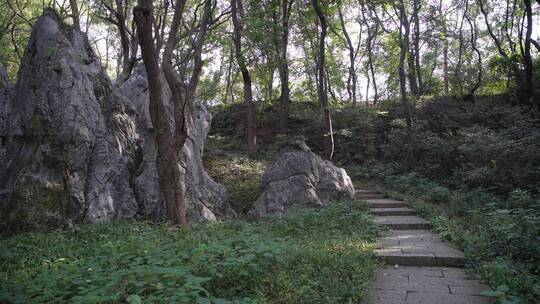 杭州凤凰山景区月岩景点