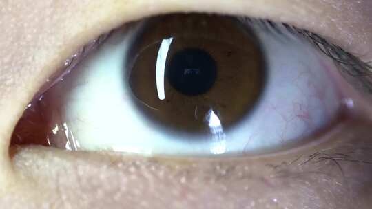 棕色眼睛特写放大到虹膜微镜头素材可商用