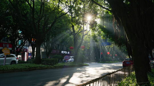 清晨阳光透过树林打在城市道路上