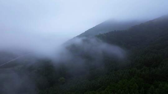 宁夏固原六盘山森林公园