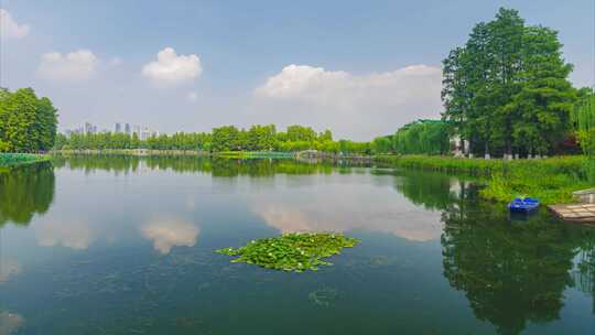 武汉东湖风景区夏季自然风光