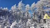 雪原森林纯净雾凇风景高清在线视频素材下载