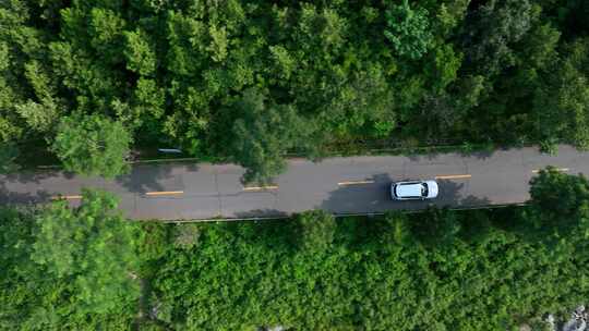 森林公路汽车航拍画面