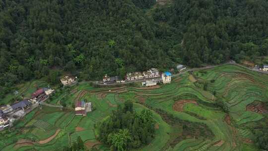 重庆四川山区