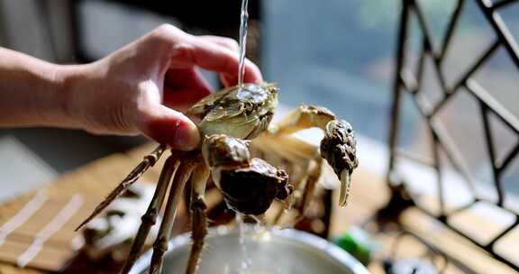 阳澄湖大闸蟹生鲜