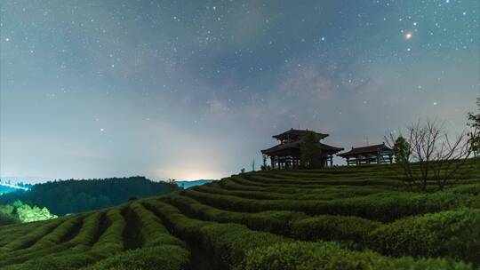 茶山茶园星空银河延时摄影