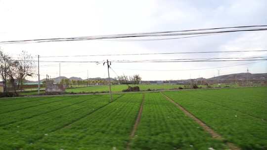 大片绿色农田及电线的乡村田野景象