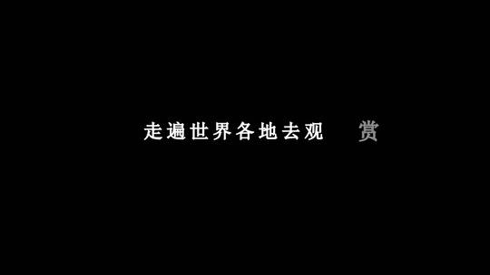 齐秦-张三的歌dxv编码字幕歌词