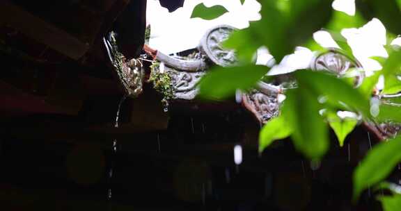 （慢镜头）杭州 古风 下雨天 屋檐雨滴