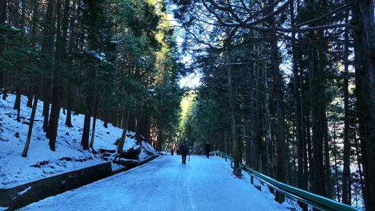 航拍江西庐山冬天树林雪景道路