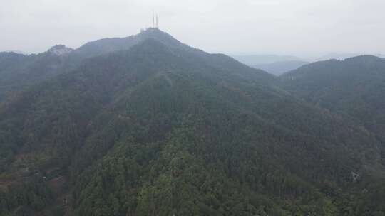 高山森林植物信号塔航拍