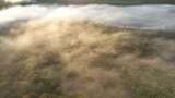 航拍秋季森林河晨雾缥缈高清在线视频素材下载