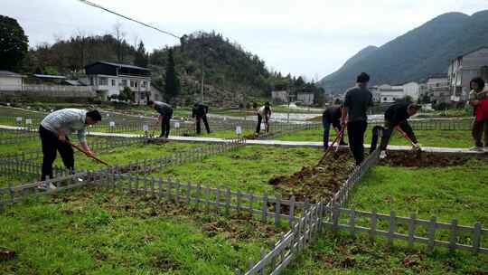 劳动空镜刨土锄地农场工人耕作劳作翻土