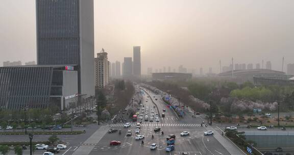 洛阳植物园樱花万物复苏春天公园道路航拍