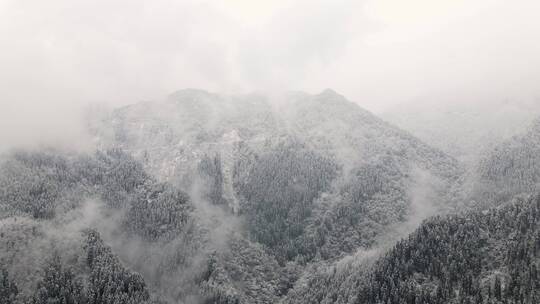 冬天森林雪景