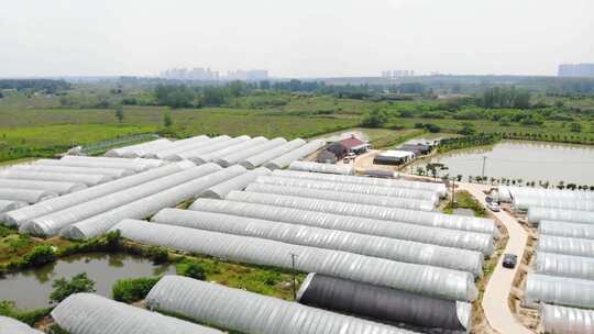 农业大棚 现代农业