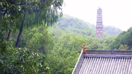 天台著名景点国清风景区国清寺自然景观