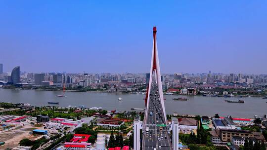 杨浦大桥航拍风光