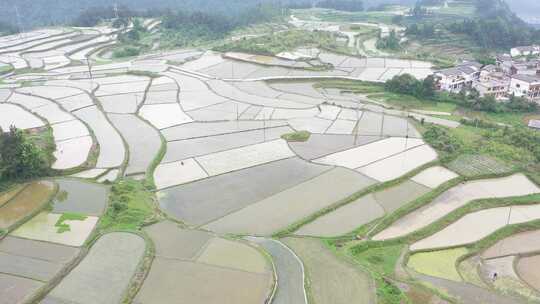 航拍贵州花溪高坡乡石门梯田-原视频