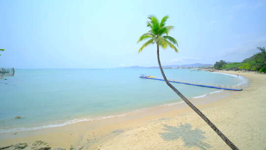海南三亚 椰树沙滩 海边椰子树 海滩度假
