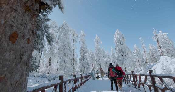 高清实拍瓦屋山冬天雪景雪山森林