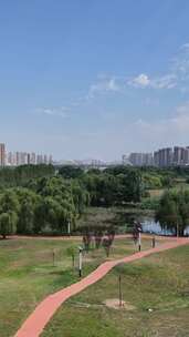 竖屏航拍陕西宝鸡城市绿化植物