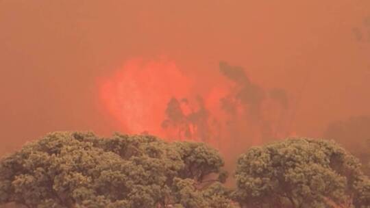 山脊上的野火肆虐视频素材模板下载