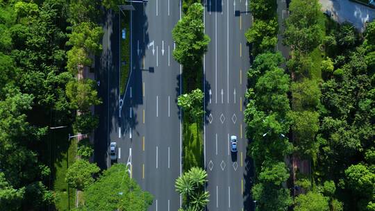 绿树成荫的高速公路城市主干道航拍
