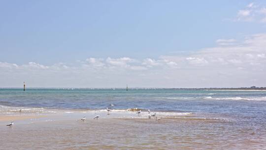 澳大利亚墨尔本海边沙滩海浪