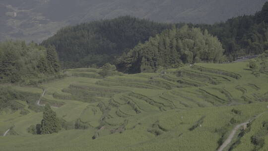 云和梯田风光