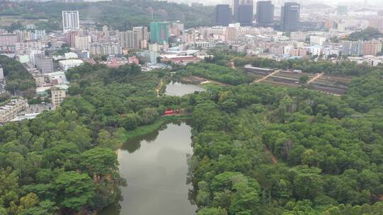 航拍深圳龙华区观澜现代化城市建设