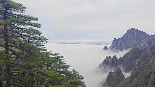 黄山云海缭绕的山峦景色