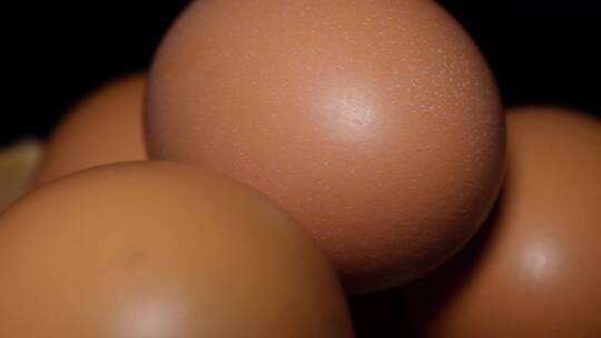 鸡蛋红皮鸡蛋鸡子蛋白质