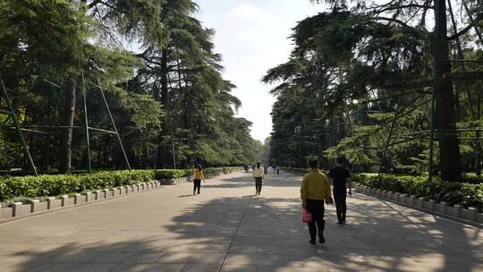 南京钟山音乐台景区人文景观