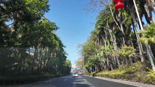 绿树成荫的城市道路景象