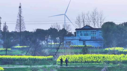 航拍乡村农村油菜花农民民房风力发电