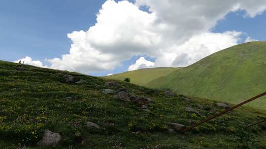 自驾西藏深入莫斯卡村小女孩爬山