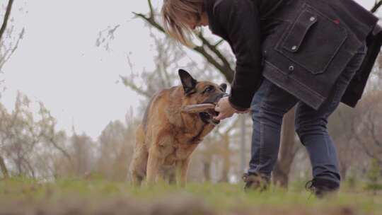 玩德国牧羊犬的人